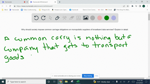 why-should-society-impose-common-carriage-obligations-on-monopolistic-suppliers-of-broadband-data-services-explain-in-detail-25616