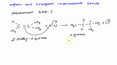 consider-the-reaction_-cl-h-_ci-h3c-ch3-h3c-ch3-add-curved-arrows-for-the-first-step-draw-both-the-organic-and-inorganic-intermediate-species-include-nonbonding-electrons-and-charges-where-a-02961