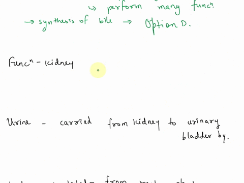the-gallbladder-produces-bile-is-attached-to-the-pancreas-stores-bile-produccs-secretin-brcaks-down-red-blood-cells-which-of-the-following-is-function-of-the-hcpatocytes-produce-digestive-cn-30024