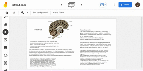 pick-correct-statements-about-thalamus-a-olocated-in-the-brainstem-b-ois-a-part-of-telencephalon-receives-only-neocortical-inputs-medial-geniculate-nucleus-processes-somatosensory-informatio-17808