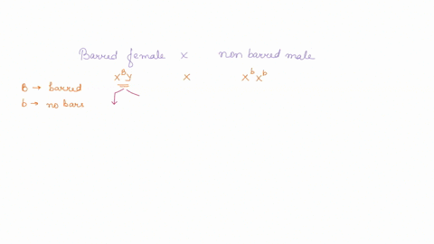 the-x-linked-barred-locus-in-chickens-controls-the-pattern-of-the-feathers-with-the-alleles-b-for-ba-56154