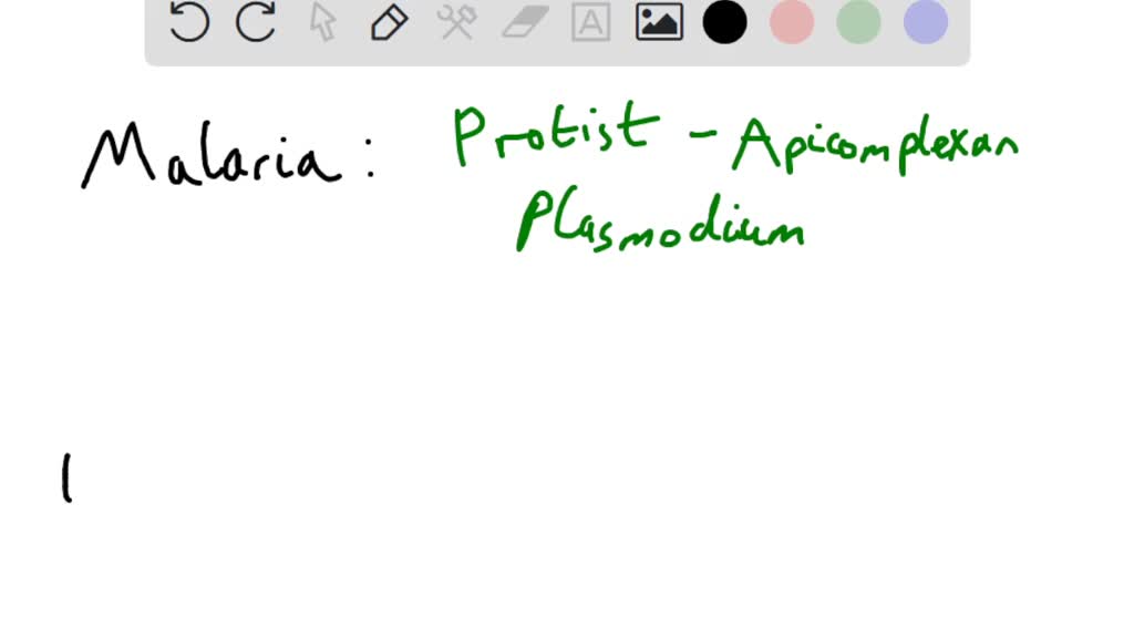 SOLVED: Q1.4. What Types Of Pathogens Cause Malaria And Lyme Disease ...