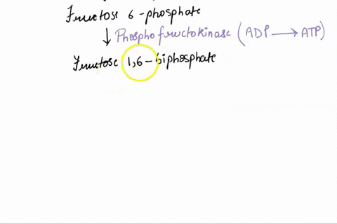 glycolysis-list-all-the-reaction-steps-reactants-and-products-cofactors-enzymes-and-enzyme-classification-write-the-net-equation-and-make-notes-for-any-other-important-parts-of-the-reactions-74769