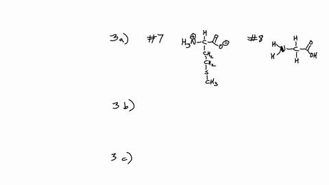 refer-to-the-accompanying-figure-depicting-molecules-1-15to-answer-the-following-questions-fo-cton-1-0-1-mocl-clor-oloh-3a-i-pt-which-of-the-above-molecules-side-chain-check-all-that-apply-j-81717