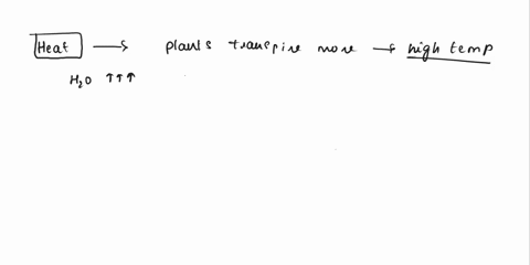 what-environmental-factors-increase-the-rate-of-transpiration-in-vascular-plantsdo-any-of-the-environmental-factors-heat-light-or-wind-increase-the-transpiration-rate-more-than-the-others-wh-70154