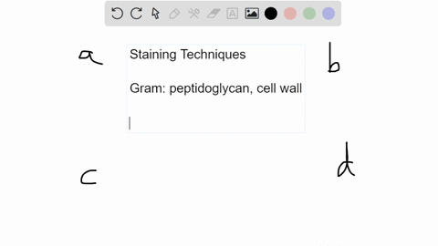 which-of-the-following-is-a-capsule-stain-technique-a-anthony-s-b_-leifson-s-c-ziehl-neelsens-d-gram-31114