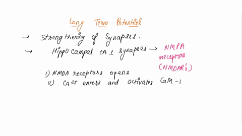 6-what-is-the-long-term-potentiation-what-is-the-role-of-ca2-in-long-term-potentiation-review-the-following-figure-and-explain-in-your-own-language-10-pts-presynaplic-glutamate-released-by-a-12593
