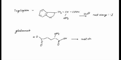 question-4-1-point-which-amino-acid-would-have-a-net-charge-of-2-in-a-basic-aqueous-environment-tryptophan-serine-glutamate-asparagine-lysine-previous-page-next-pago-page-4-of-10-33084