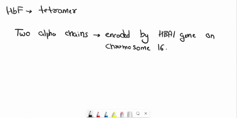 hbf-foetal-hb-has-chains-a-2-alpha-2-beta-b-2-alpha-2-gamma-c-2-alpha-2-delta-d-2-beta-44116