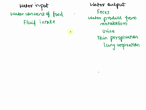 sources-of-water-inputs-and-outputs-classify-the-following-items-as-water-inputs-or-water-outputs-and-arrange-them-sequentlally-within-each-categoryfrom-smallest-to-largest-volume-water-inpu-53034