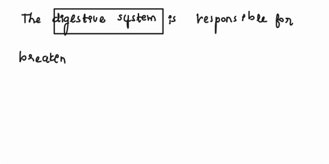 hello-can-you-help-me-write-a-one-page-essay-on-the-structure-and-function-of-the-digestive-system-07216