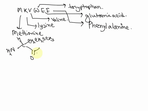 draw-the-chemical-structure-for-the-following-amino-acid-sequence-as-it-would-appear-at-ph-70-mkvwef-ie-amino-acid-residues-are-given-as-1-letter-codes-indicate-the-n-terminus-c-terminus-and-69103