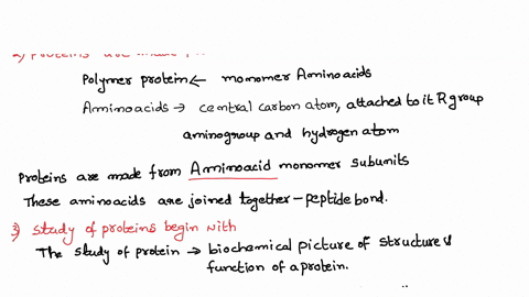 name-1-what-are-the-most-abundant-macromolecules-found-in-cells-and-tissues-2-proteins-are-made-from-what-monomer-subunits-what-do-the-study-of-proteins-begin-with-which-protein-quantificati-19831