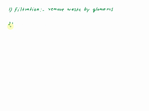 describe-three-different-specific-functions-of-the-kidney-using-ample-detail-71593