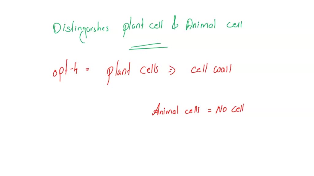 SOLVED: 20. What makes plant cells different from animal cell?Plant cells  are bigger than animal cellb. Plant cells have more mitochondria than animal  cellsc. Plant cells have chloroplast and cell wallsd. Plant