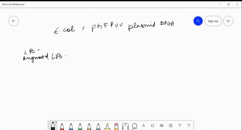 in-a-transformation-experiment-you-mix-e-coli-competent-cells-with-a-small-amount-of-pgfpuv-plasmid-dna-after-performing-the-heat-shock-and-incubations-according-to-protocol-you-then-spread-42545