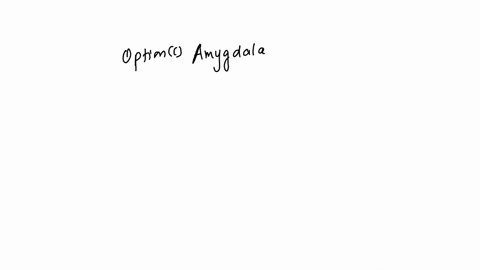 when-you-are-experiencing-fear-or-aggression-which-part-of-the-brain-is-activated-a-hindbrain-b-cerebral-cortex-c-amygdala-d-pons