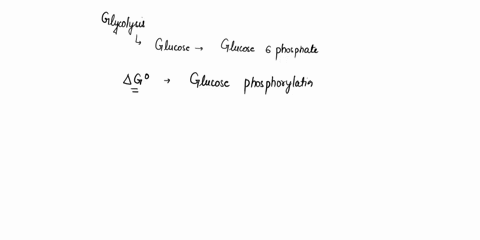 13-during-glycolysis-glucose-is-converted-to-glucose-6-phosphate-1-glucose-glucose-6-phosphate-g-141-kjmol-2-atp-h2o-adp-pi-g-31-kjmol-the-g-of-glucose-phosphorylation-is-a-88-kjmol-b-17-kjm-44826