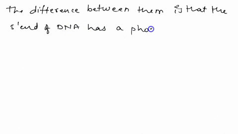 how-does-the-5-end-of-a-dna-strand-differ-from-the-3-end-74307