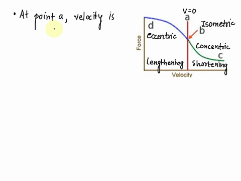 22-consider-the-figure-below-the-generic-muscle-contraction-force-vs-velocity-curve-is-represented-at-point-a-the-muscles-contraction-velocity-is-1-muscle-spell-out-value-do-not-use-a-number-36289