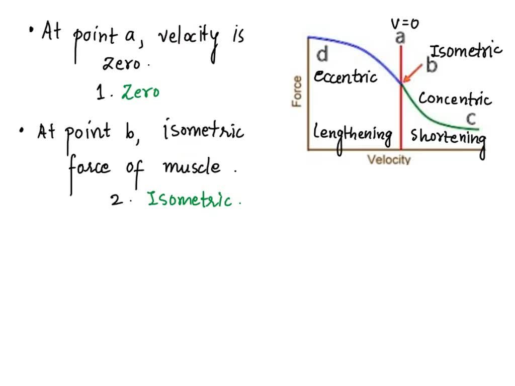 SOLVED: Consider the figure below. The generic muscle contraction force ...