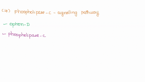 question-which-of-the-following-components-of-the-phospholipase-signaling-pathway-is-not-considered-a-second-messenger-a-ca-b-diacylglycerol-inositol-1-5-trisphosphate-ip3-d-phospholipase-qu-82004