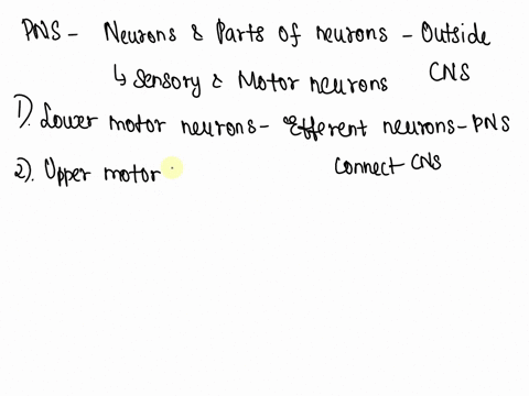 question-19-more-than-one-answer-may-be-correct-for-this-question-which-of-the-following-conduct-action-potentials-in-both-the-peripheral-pns-and-central-cns-nervous-systems-lower-motor-neur-07356
