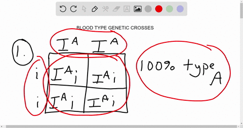 if-a-woman-is-homozygous-for-type-a-blood-and-her-husband-is-type-o-what-is-the-probability-that-their-offspring-would-have-any-one-of-the-4-possible-blood-types-name-blood-type-inheritance-60682