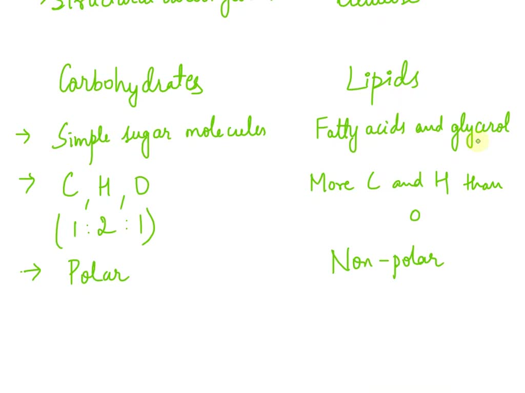 SOLVED Name two simple carbohydrates, two storage carbohydrates, and a structural carbohydrate