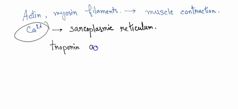 question-25-2-pts-only-in-the-presence-of-_-can-actin-and-myosin-connect-to-one-another-this-process-requires-energy-in-the-form-of_-glucose-calcium-steroid-phosphate-calcium-_-atp-calcium-_-34764
