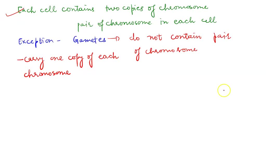 SOLVED: Which statement is NOT true about eukaryotic chromosomes
