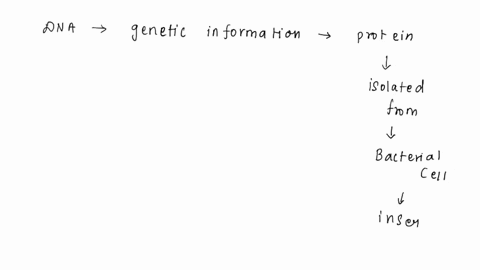 bacterial-dna-containing-an-operon-encoding-three-enzymes-is-introduced-into-chromosomal-dna-in-yeast-a-eukaryote-in-such-a-way-that-it-is-properly-flanked-by-a-promoter-and-a-transcriptiona-77185