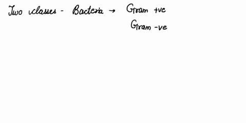 137-exercise-3-4-learning-in-action-with-macconkey-agar-what-would-the-possiblr-consequcnce-0f-replacing-the-iactose-with-glucose-l-would-replacing-tne-lactose-d1re4co-5-tc-abili-entiare-ktu-26667