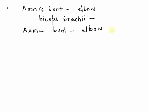 when-the-arm-is-bent-at-the-elbowthe-biceps-brachii-acts-as-the-multiple-choice-prime-mover-fixator-antagonist-synergist-45304