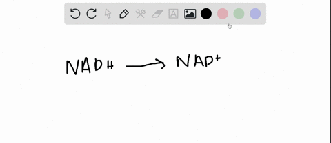 the-electrons-carrier-nadh-is-______-compared-to-nad-question-3-options-has-more-hydrogen-ions-oxidized-reduced-both-has-more-hydrogen-ions-and-is-reduced-33323