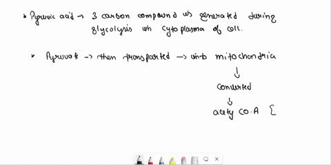 respiration-and-fermentation-nield-75-mucn-atp-aerobic-does-anaerobic-respiration-why-why-not-cellular-multiple-choice-note-questions-may-have-more-than-one-correct-answer-atuv-acid-end-up-f-20694