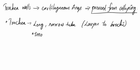 why-the-walls-of-trachea-are-supported-by-cartiginous-ring-answer-it-in-3-mark-question-90237
