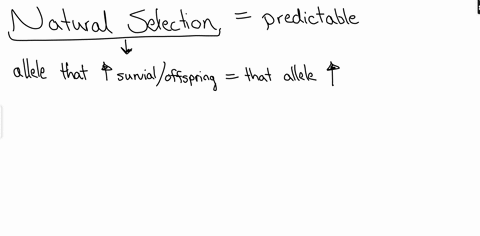 the-tables-show-the-changes-in-allele-frequencies-in-two-different-populations-of-the-same-species-of-randomly-mating-mammals-over-timethe-two-different-populations-inhabit-nearby-islands-th-36812
