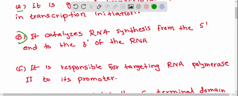 which-of-the-following-are-functions-of-tfiih-select-all-that-apply-it-is-a-general-transcription-factor-involved-in-transcription-initiation_-it-catalyzes-rna-synthesis-from-the-5-end-to-th-95816