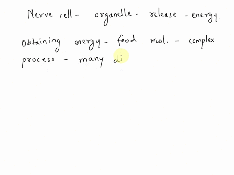 what-organelle-releases-energy-for-metabolic-activity-in-a-nerve-cell-09174
