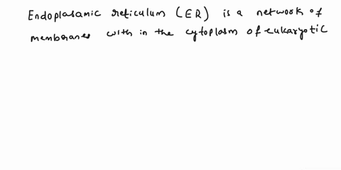in-which-of-these-organelles-does-the-bulk-of-new-organic-molecule-synthesis-occur-chloroplast-vacuole-endoplasmic-reticulum-nucleus-17715
