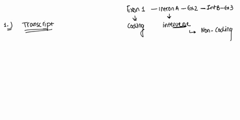 alternative-splicing-is-present-in-about-90-of-human-genes-and-can-explain-why-our-20325-genes-can-encode-more-than-1000000-proteins-examine-the-image-below-of-gene-alpha-gene-alpha-intron-a-85973