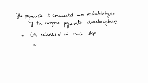 a-mutant-strain-of-yeast-is-able-to-produce-2-atp-for-each-glucose-molecule-digested-in-the-absence-of-oxygen-what-makes-this-strain-unique-is-that-it-does-this-without-producing-toxic-acids-27312