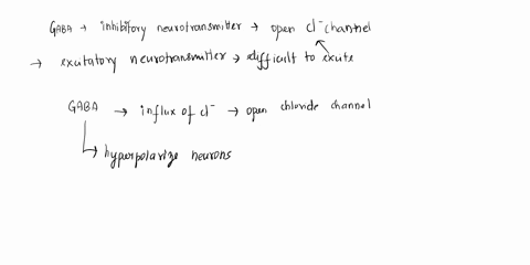 when-an-inhibitory-neurotransmitter-such-as-gaba-opens-cl-channels-in-the-plasma-membrane-of-a-pos-2-69186