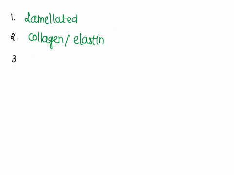 bairshaft-ecneun-3333333331-dema-qepilla-epidermis-dermis-bair-hillicle-tactile-seasort-hopedermis-lamellaccorpnscles-doop-pressure-receptor-bfibers-in-the-dermis-are-produced-by-glands-that-55683