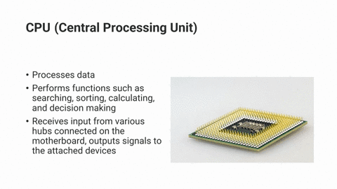 why-is-cpu-known-as-a-brain-of-computer-describe-a-motherboard-52015