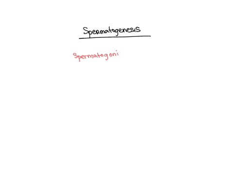 question-46-arrange-the-following-cells-in-the-order-in-which-they-are-produced-during-spermatogenesis-1-primary-spermatocytes-2-spermatids-3-spermatogonia-4-sperm-cell-3-241-3-1-2-4-341-2-1-52338