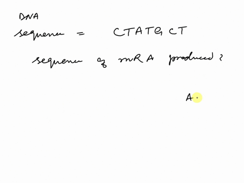 if-dna-template-is-ctatgct-what-is-mrna-synthesized-from-dna-template-is-_-39226