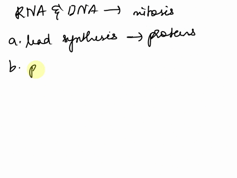 which-of-the-following-describes-how-rna-and-dna-are-used-in-mitosis-a-leads-to-the-synthesis-of-proteins-that-assist-in-cell-replication-b-produce-energy-for-cell-division-c-moves-vesicles-29776