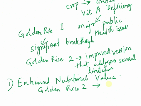 in-a-brief-essay-explain-benefits-of-golden-rice-2-over-golden-rice-1-47442